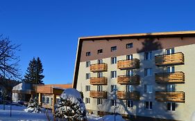 Hotel Srní depandance - Šumava